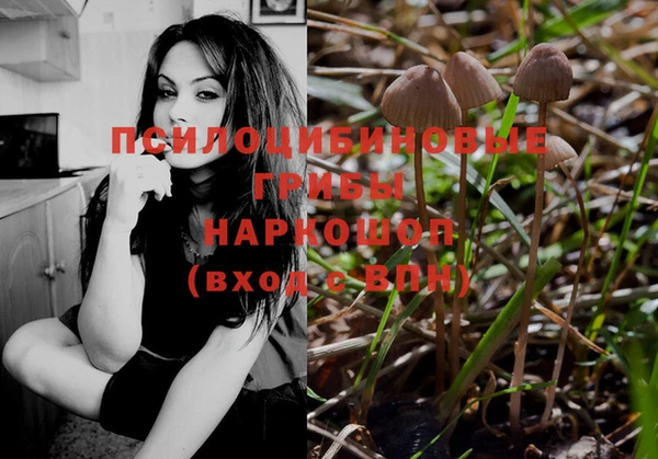 твердый Балахна