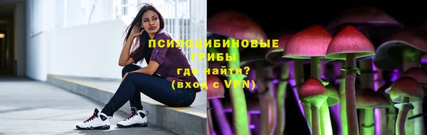 твердый Балахна