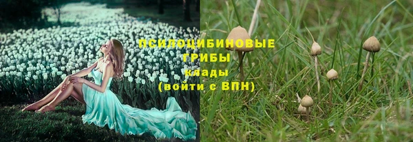 твердый Балахна