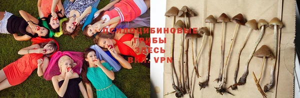 твердый Балахна