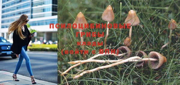 гидра Балабаново